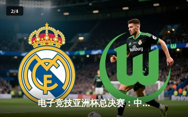 电子竞技亚洲杯总决赛：中国战队逆袭夺冠创历史 - 2